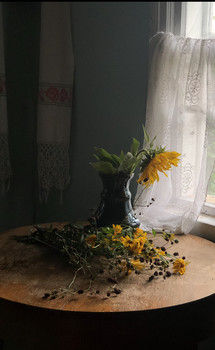 Подсолнух / Беларусь