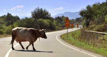 Нарушительница дорожного движения / Нарушительница дорожного движения