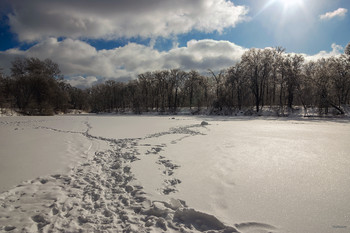 Гулять по реке, или Камо грядеши... / ...