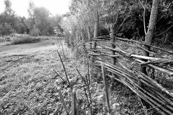 Сельский колорит / Конаково с.Фёдоровское сельские заборчики и ограды всегда интересны если конечно в них есть оригинальность.