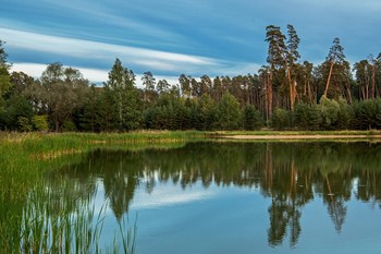  / озеро Светлое лебяжье,пригород Казани