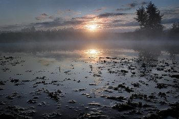 Время летнего рассвета... / ***
