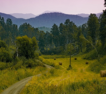 Тёплый вечер. / Горный Алтай.