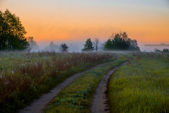 Дорога к озеру. / Весеннее утро в поле.
