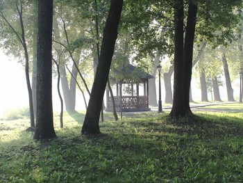 утро доброе / Парк минск утро туман пейзаж лето