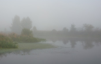 Туманное утро / Утро на реке Клязьма