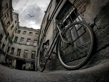 велосипед и чайка / Старые дворы Санкт-Петербурга