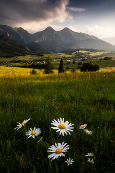 &nbsp; / Summer evening under the Tatras in Slovakia.