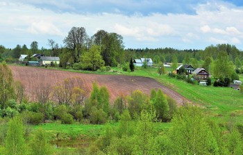 Деревушка в шесть дворов ... / Деревенский пейзаж ...