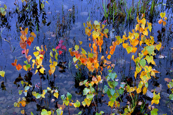 У воды / Озеро Каменный Карьер