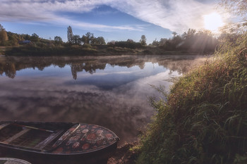 Жизнь вокруг / Описание