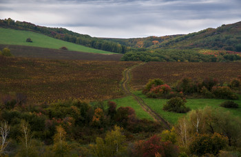 Осень / Сентябрь