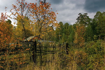 Сентябрь. / Томская область.