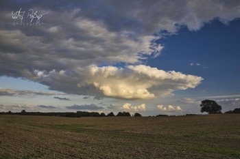 &nbsp; / Eine Wolke unter herbstlichem Feld