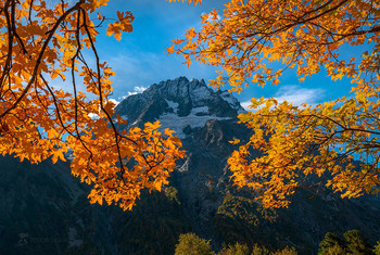 Гора Пшиш / В обрамление осенних листьев клёна. 
Сентябрь, 2021 год. 
Из фотопроекта «Кавказ без границ».