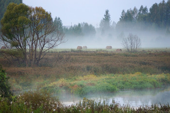 Туманная Нерль / Утро туманное. Осень на Нерли.
Кидекша, Суздальский район, Владимирская область.