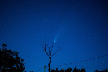 Комета C/2020 F3 (NEOWISE) над деревом / ***