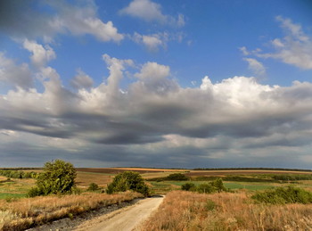 &nbsp; / Дорога,поля,облака