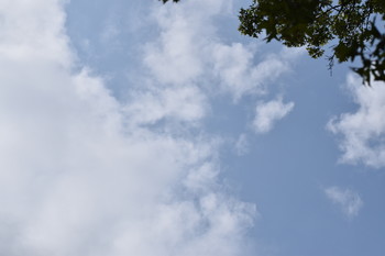  / What is watching you? Can you see a cloud with two eyes watching you?