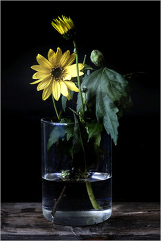 &nbsp; / Натюрморт