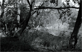 у старого пруда / [img]https://i.imgur.com/FrZpHvb.jpg[/img]