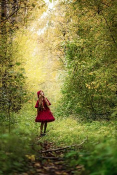 Лес без чудес / модель Кира Полевая
платье предоставлено студией «Косплей»