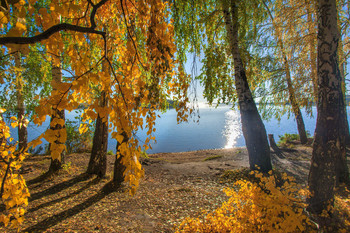 Осеннее золото / Осень на озере