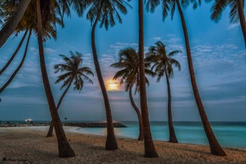 Лунный пейзаж / Самые красивые пейзажи в мире – именно на Мальдивах!
