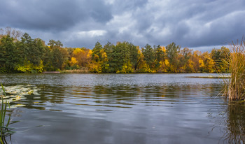 На озере осень. / ...