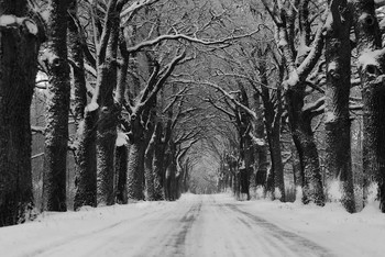 Зимние дороги / Зимние дороги