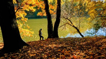 Вот и осень пришла, опадает листва... / Золотая осень в Царицыно