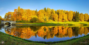 Осенний Павловский парк / 5 октября 2019 года.
Панорама из 2-х горизонтальных кадров.
Снято на телефон Samsung S8
Фотограф: Анастасия Белякова