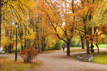 Осенний парк / Осенние прогулки в сказочном парке