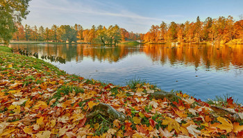 &nbsp; / гатчинский парк