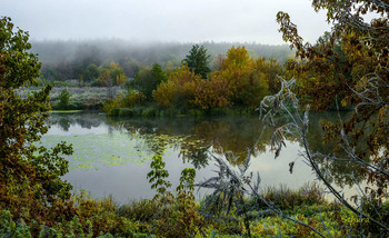 Октябрь. / Утренние заморозки и туман. Озеро Сосновое. Мещера.