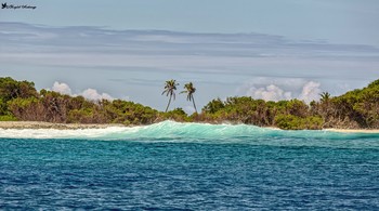 Мальдивский архипелаг / Мальдивский архипелаг (его еще называют архипелаг Мальдивских островов) – это собрание расположенных в акватории Индийского океана атоллов вулканического происхождения (всего 26 атоллов) и островов на них. В состав архипелага входят 1196 коралловых островов из которых лишь около 200 являются обитаемыми.