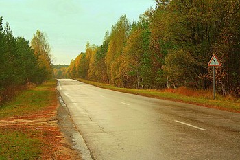 Дорога в осень. / &quot; &quot; &quot;