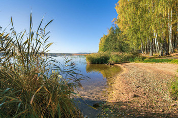 Осенний берег / Осень на озере