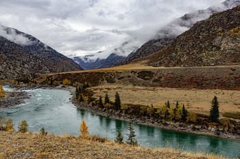 Катунь на слиянии с Ильгумень / Осень на Алтае прекрасна! Катунь, кордон Керкечу