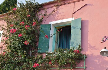 &nbsp; / old window of a pink house with bougainvillea