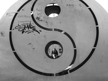 Жизнь вокруг / Описание*