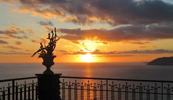   / sunset over the sea seen from a terrace with silhouette of a succulent plant in pot