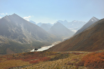 Одинокий всадник / Горный Алтай, долина Аккем с видом на Белуху