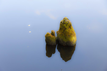 Состояние-4 / ...