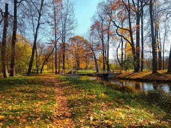 В парке / ***