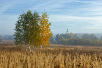 Солнечный октябрь / Яркое октябрьское утро во Фрязино, Московская область
