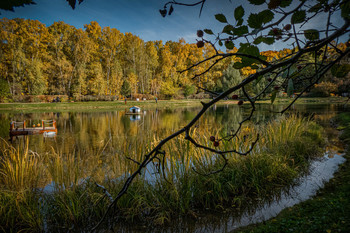 Осень на &quot;Золотом пруду&quot;. Парк Сокольники. / Парк в Москве