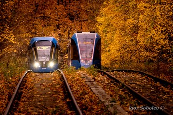 Осенние трамвайчики / Где-то в парке Сокольники