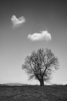  / I think I'm alone