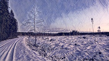 &nbsp; / A peaceful winter scene from rural Finland